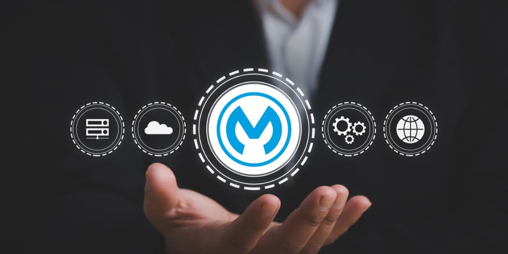 Beginner’s Guide to API and MuleSoft