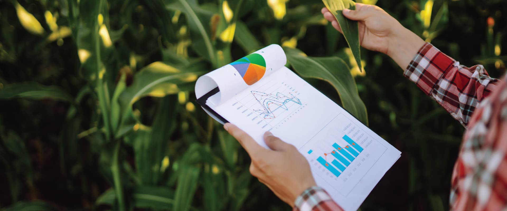 A Leader in the Agri-Healthcare Industry Leveraged Microsoft Fabric to Unify Their Databases for Better Customer Service