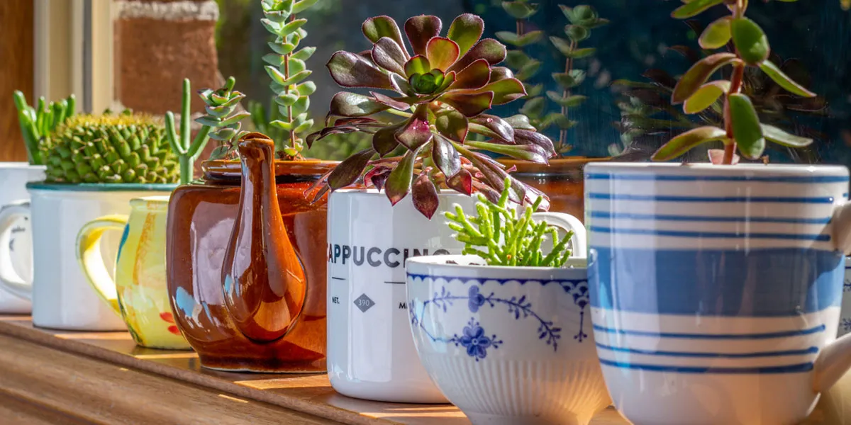Leader in Wholesale Home & Garden Décor Transforms Business with Business Central & Dynamics 365 for Sales
