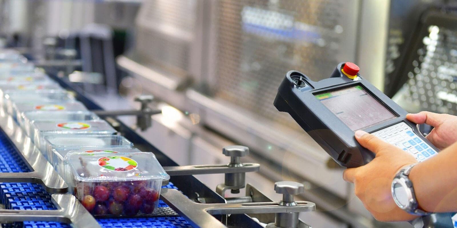 A Leading Food and Aero Technology Solution Provider Increased Revenue and Improved Operations by Creating a Global Customer Portal
