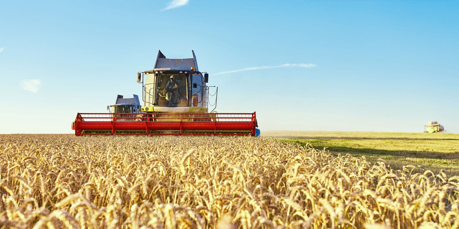 An Agricultural Product Manufacturer Improved Efficiency and Eliminated Discrepancies via Automating the QAR Process within Salesforce.