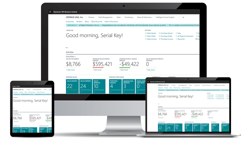 Business Central Dashboard 1