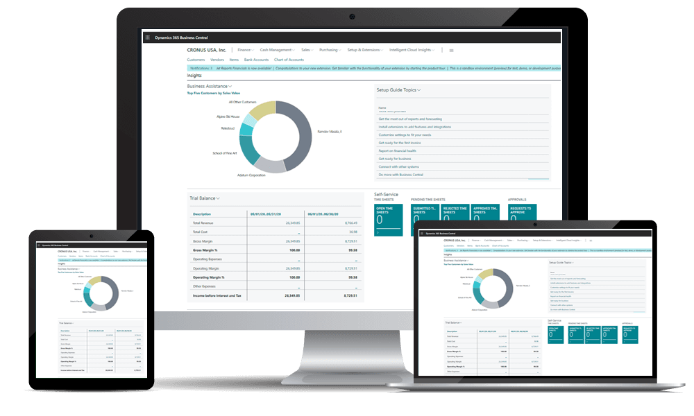 Business Central Dashboard 2