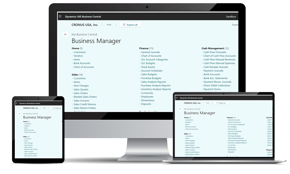 Business Central Dashboard 7